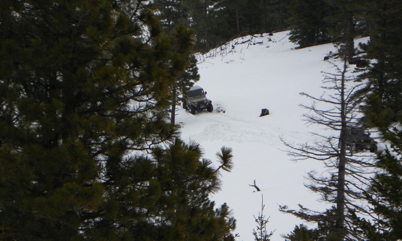 PHOTOS > EWOR: Sledding/Snow Wheeling Run at the Ahtanum State Forest 41