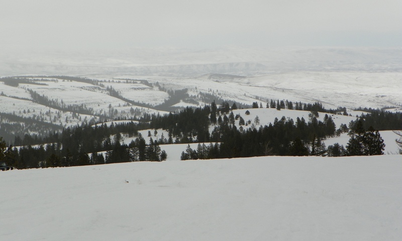 Sledding/Snow Wheeling Run at the Ahtanum State Forest 46