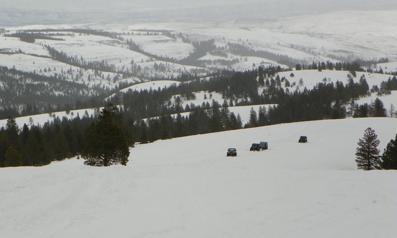 PHOTOS > EWOR: Sledding/Snow Wheeling Run at the Ahtanum State Forest 56