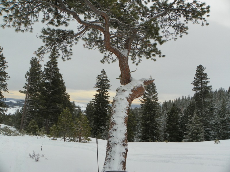 Peak Putters Cowiche Ridge Snow Wheeling 12