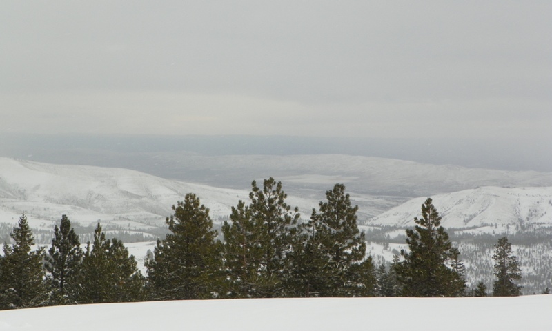 Peak Putters Cowiche Ridge Snow Wheeling 37