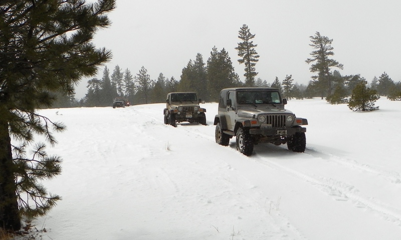 Photos: Spring Fever run at Colockum Pass 22