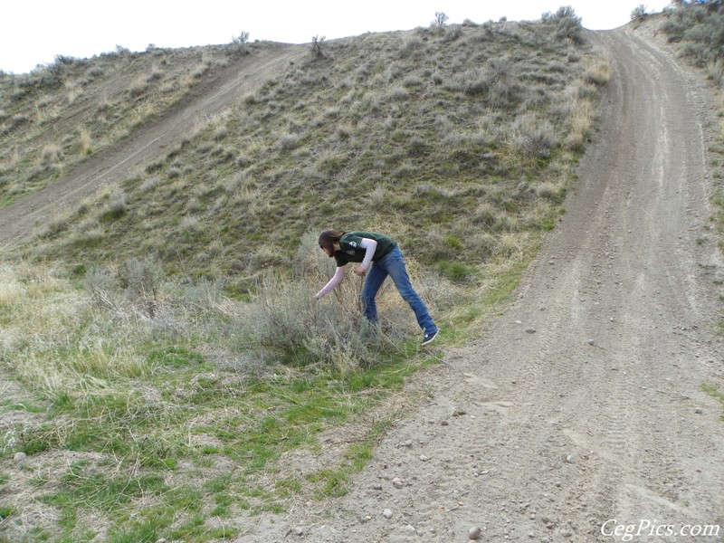 The Slab ORV Area