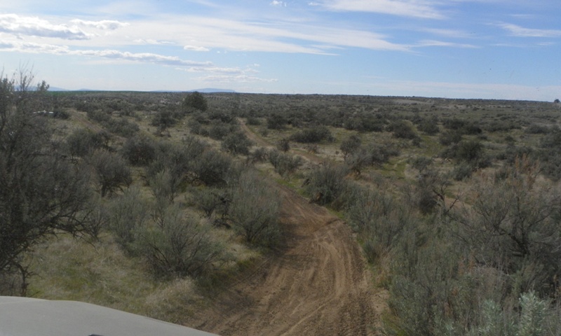 PHOTOS > EWA: 2012 Spring ORV Run at Juniper Dunes 86