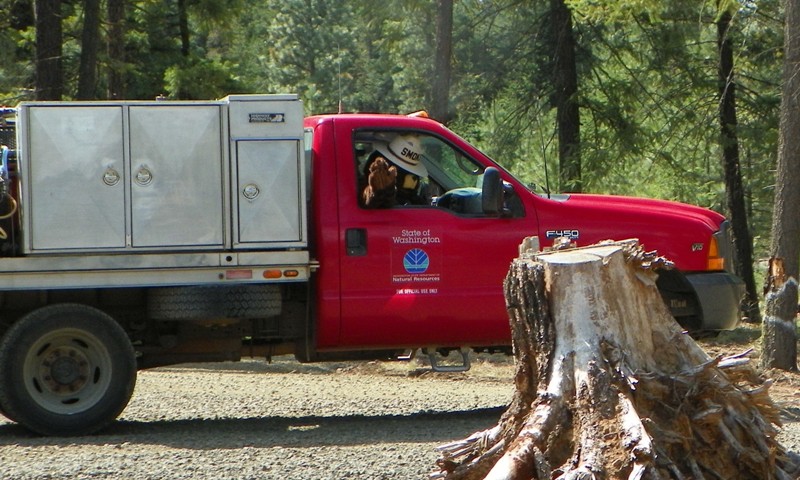 PHOTOS > Wildfire Awareness Week: Ahtanum Campground 80