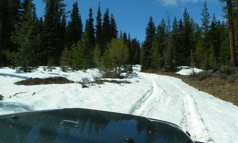 Memorial Day 4×4 Snow Run at the Ahtanum State Forest 13
