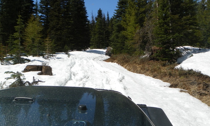 Memorial Day 4×4 Snow Run at the Ahtanum State Forest 14