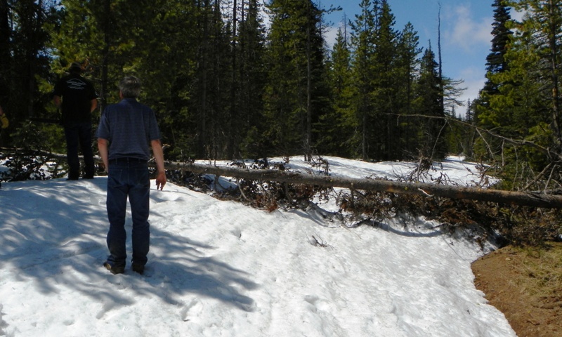 PHOTOS > EWA: Memorial Day 4×4 Snow Run at the Ahtanum State Forest 19