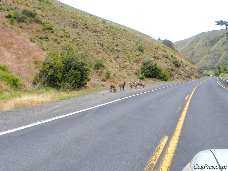 Naches Ranger District