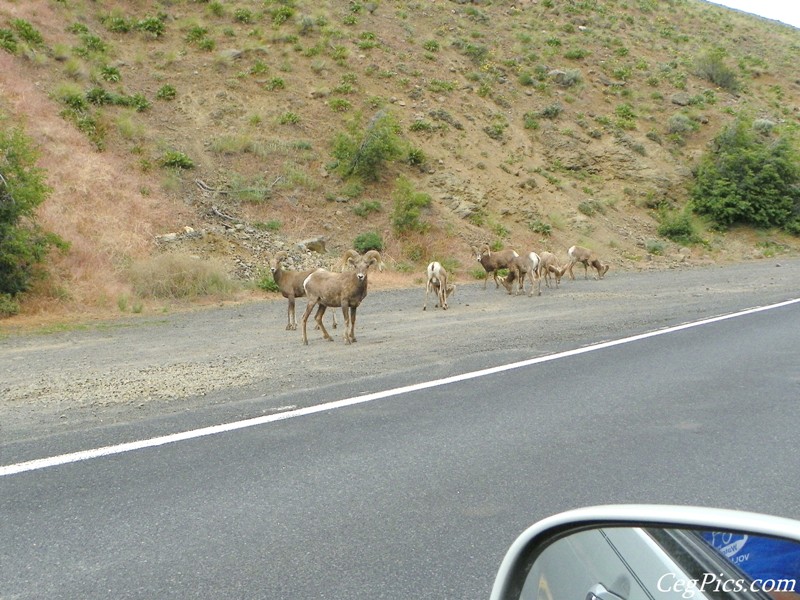 Naches Ranger District