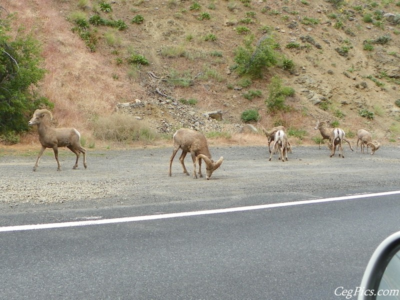 Naches Ranger District