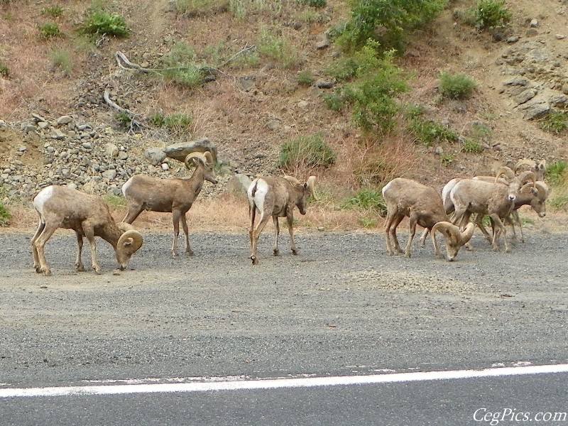 Naches Ranger District