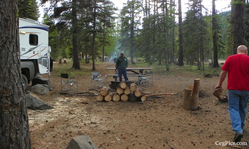 Photos: Tree Phones Camping Trip 1