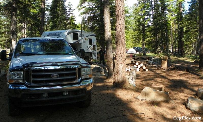 Tree Phones Camping Trip