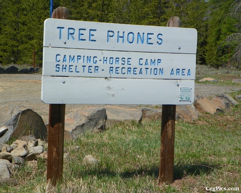Photos: Tree Phones Camping Trip 13