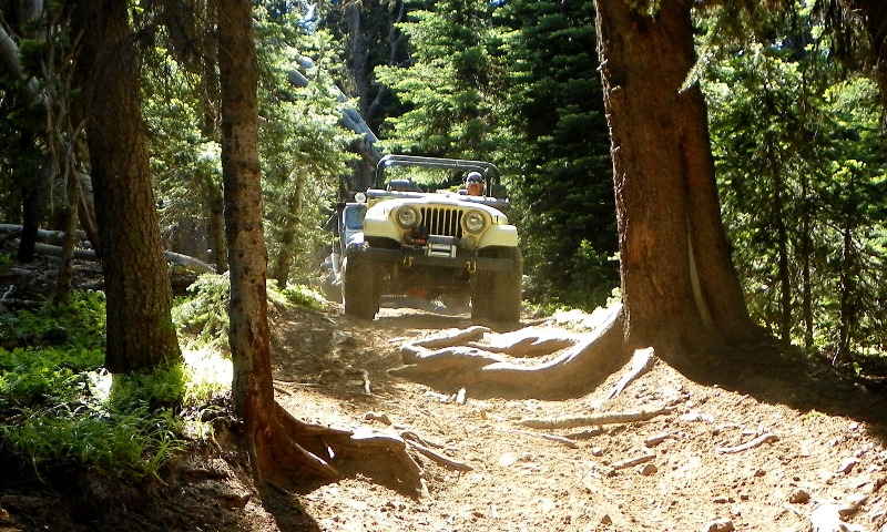 2012 Ahtanum State Forest Camp-out & Clean-up 22