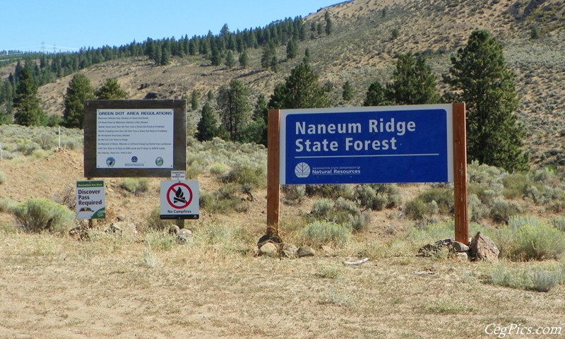 Naneum Ridge State Forest