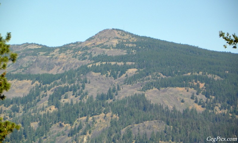 Naneum Ridge State Forest