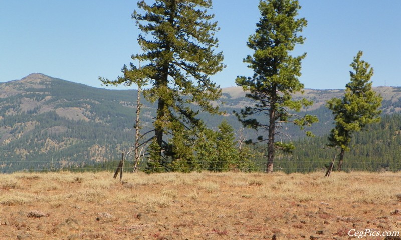 Naneum Ridge State Forest