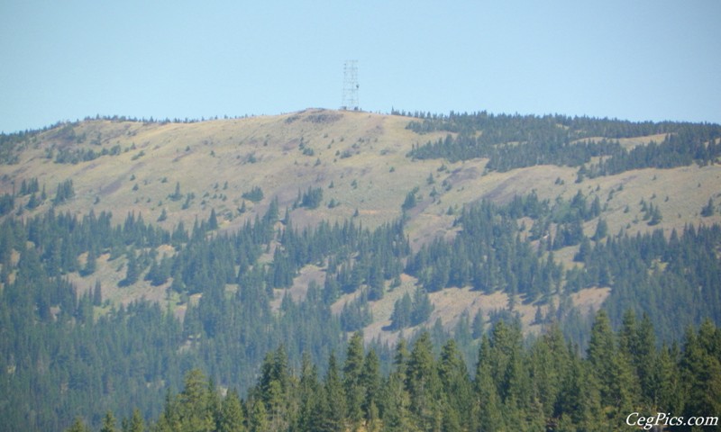 Naneum Ridge State Forest