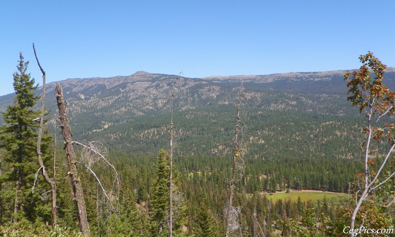 Naneum Ridge State Forest