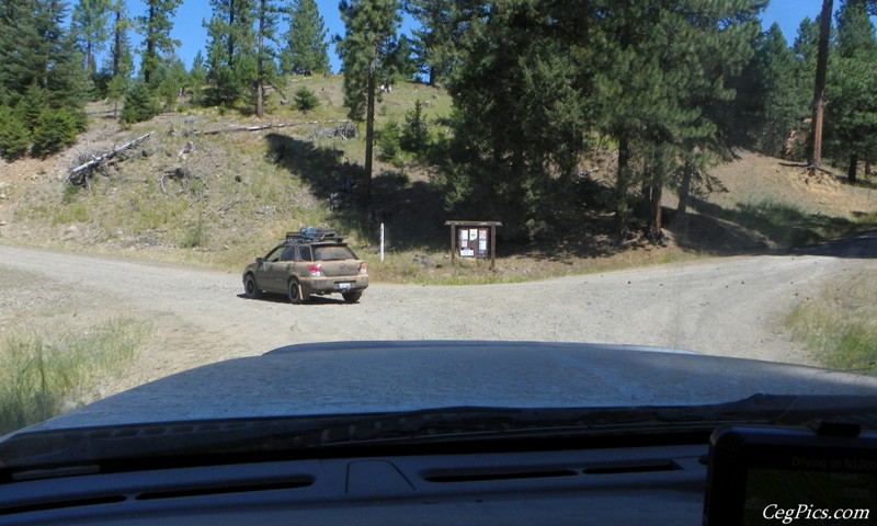 Naneum Ridge State Forest