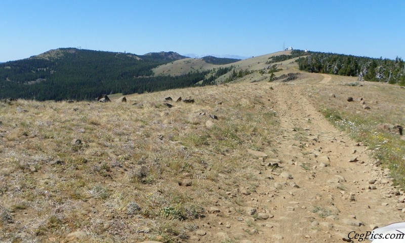 Naneum Ridge State Forest