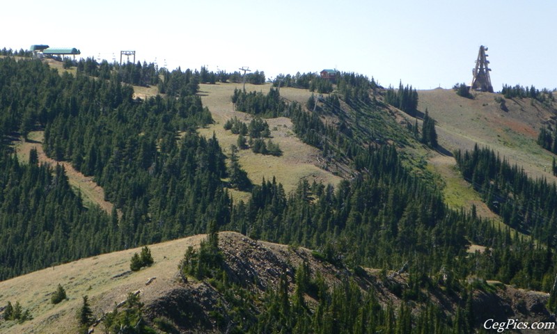 Naneum Ridge State Forest