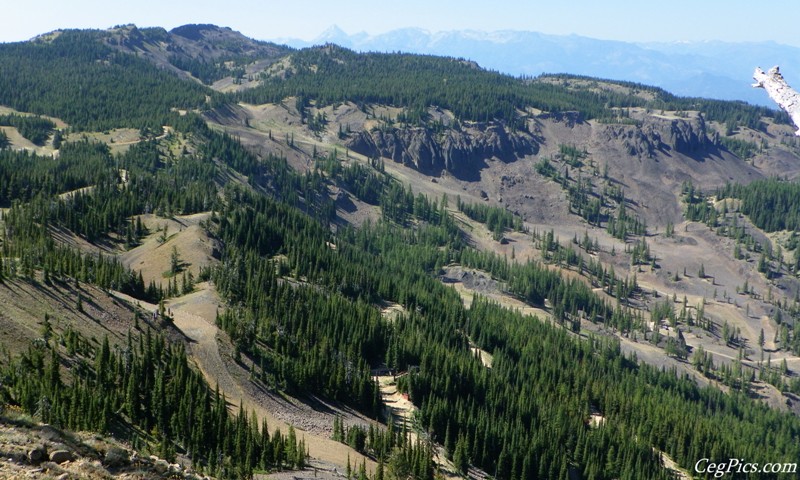 Naneum Ridge State Forest