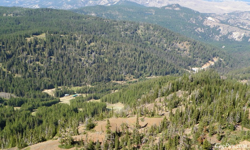 Naneum Ridge State Forest