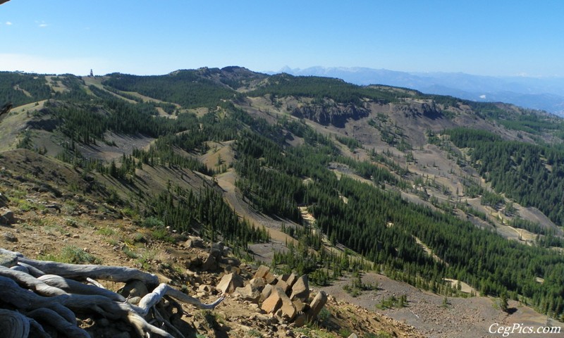 Naneum Ridge State Forest