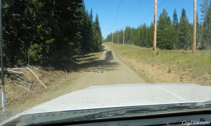 Naneum Ridge State Forest