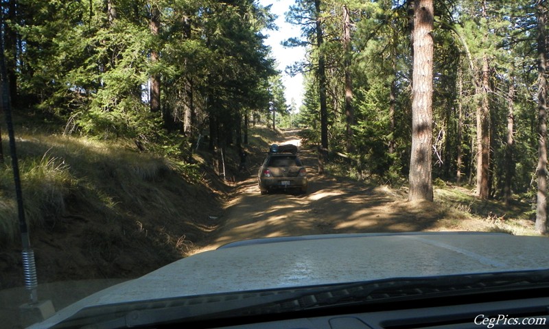 Naneum Ridge State Forest