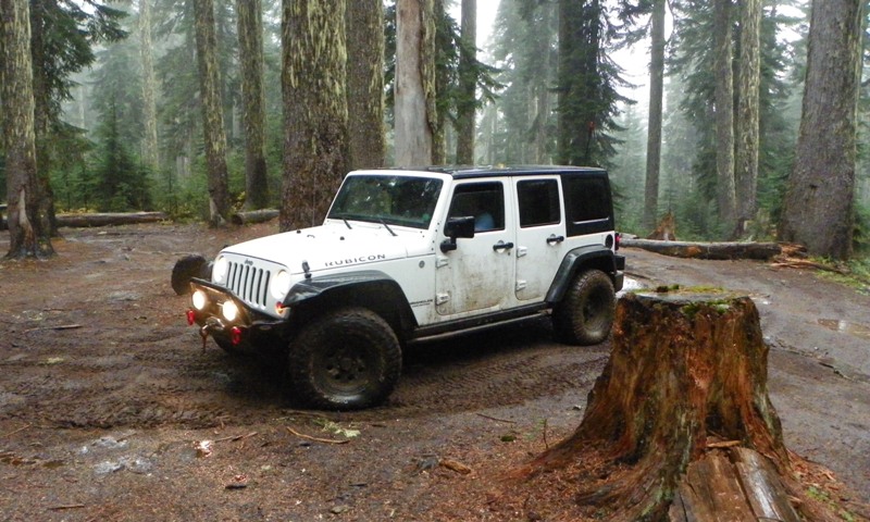 Pacific Crest Trail at Naches Pass