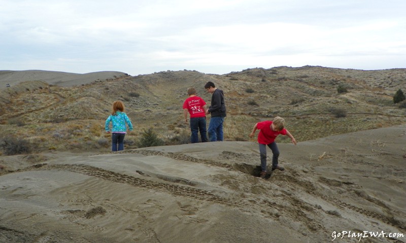 Juniper Dunes