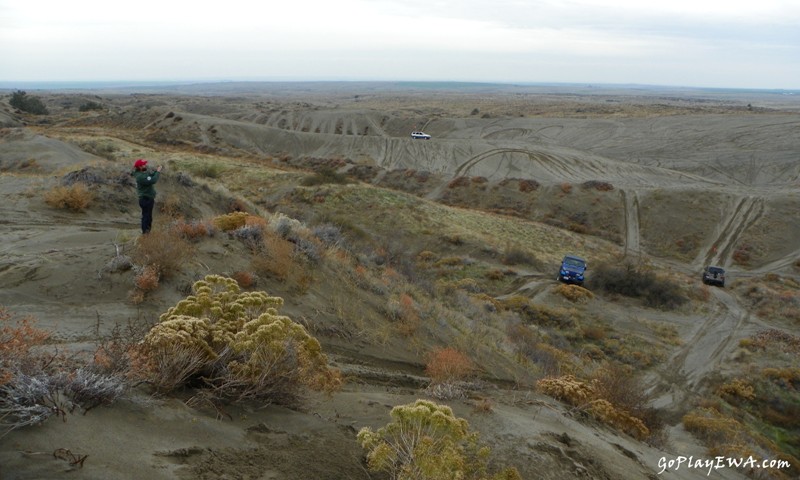 Juniper Dunes