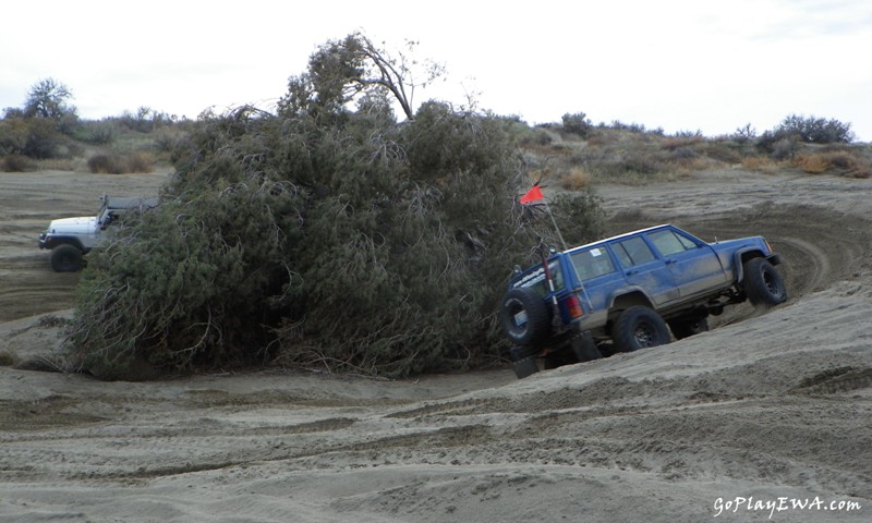 Juniper Dunes