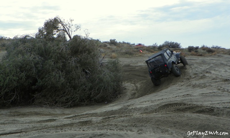 Juniper Dunes