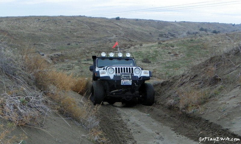 Juniper Dunes