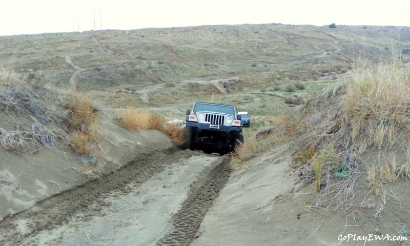 Juniper Dunes