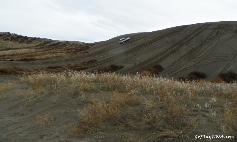 Juniper Dunes