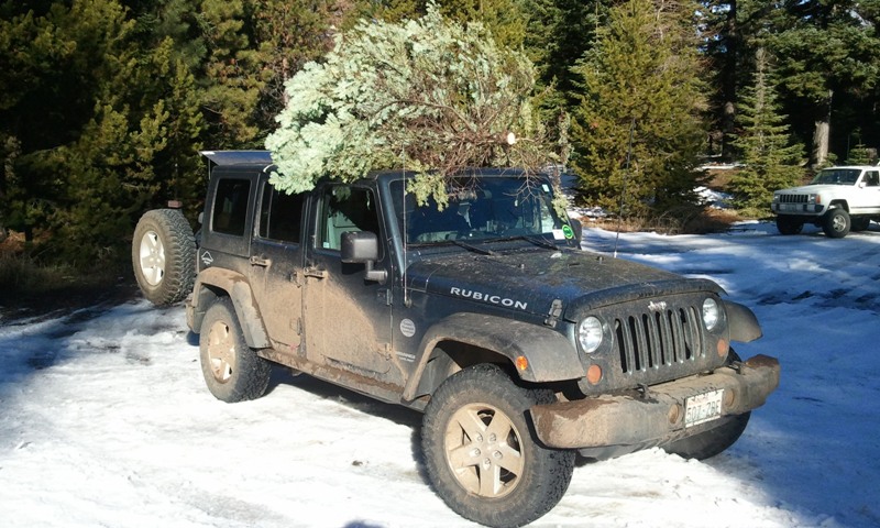 Rimrock Christmas Tree Run