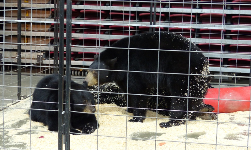 Central Washington Sportsmen Show