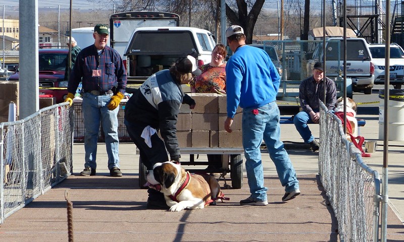 Central Washington Sportsmen Show