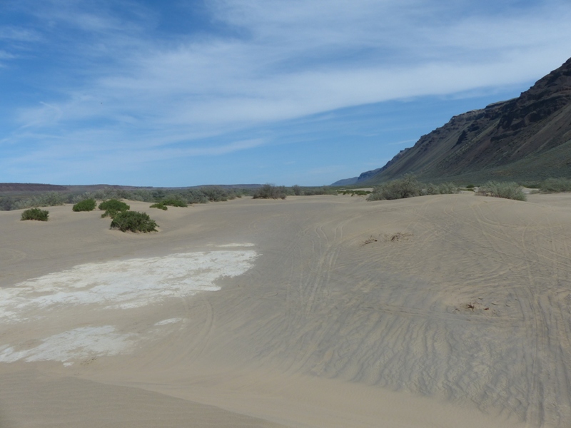 Beverly Dunes