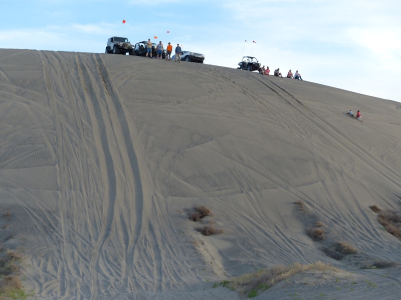 Juniper Dunes