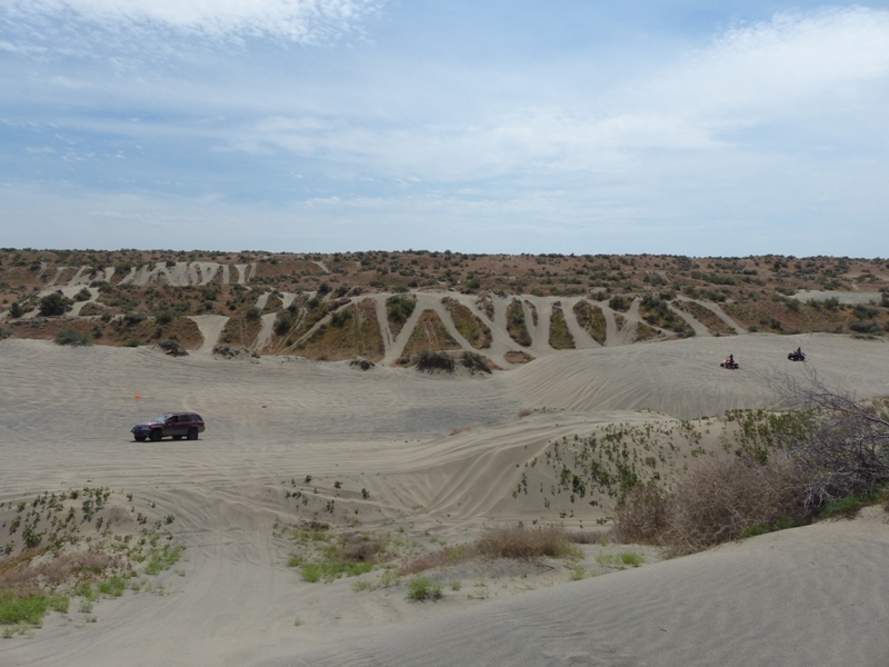 Juniper Dunes