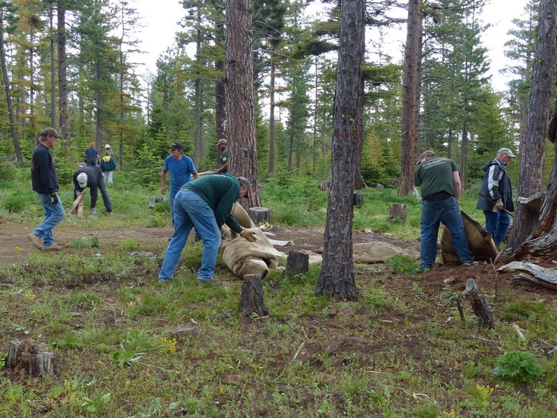 Ahtanum State Forest