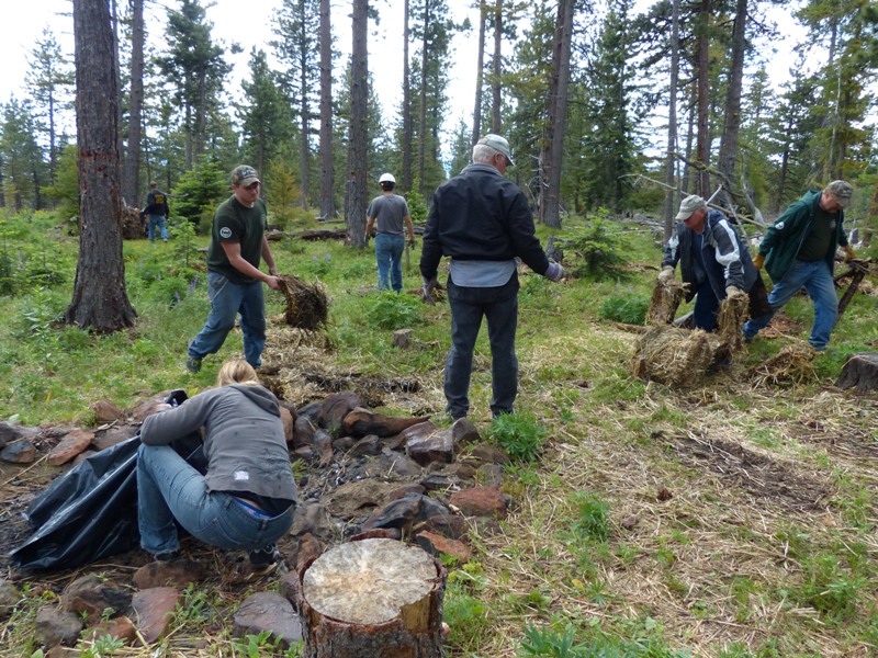 Ahtanum State Forest