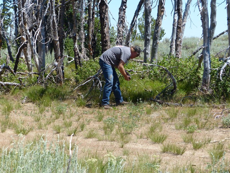 Ahtanum State Forest